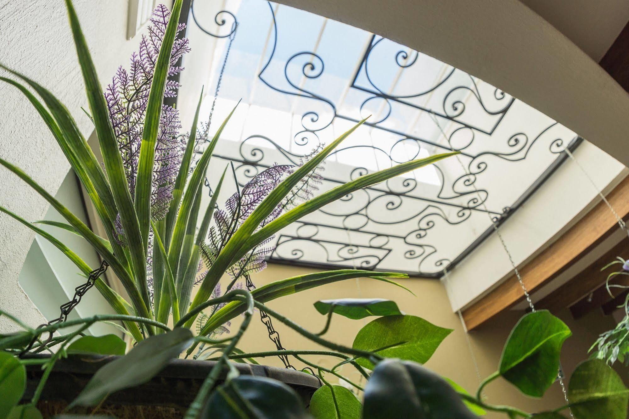 San Pietro Boutique Hotel Tlaquepaque Kültér fotó